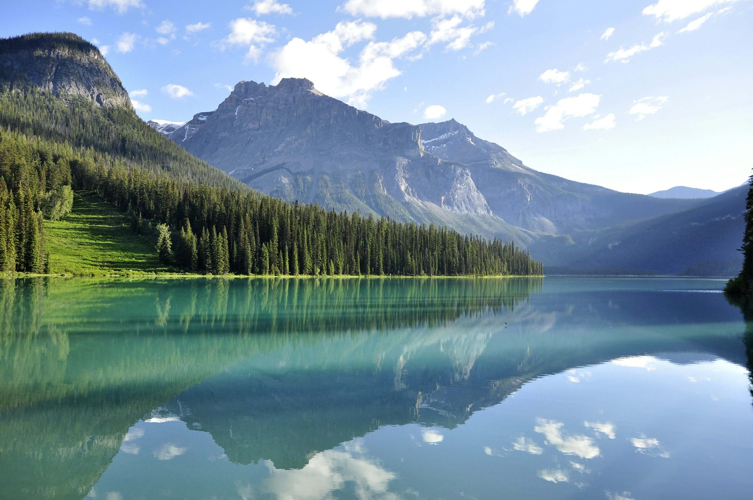 Lake View